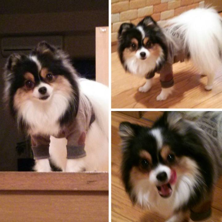 2cf9a938 e354 4feb a7b6 ee3ec10d8448 1512473572374