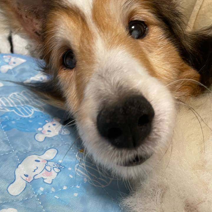 2cf9b40b 0a77 4f3e bb48 fd93d9286889 1657437973021