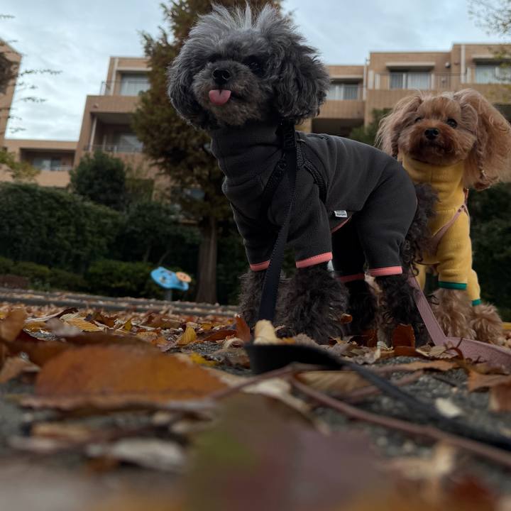 2cf9d4b8 e376 493d 9a64 d000df42465f 1763941017463