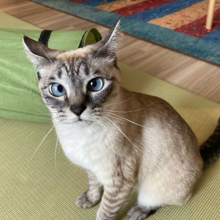 2cf9fb32 d99c 497a 8c09 2f9fa57181a3 1648810828224