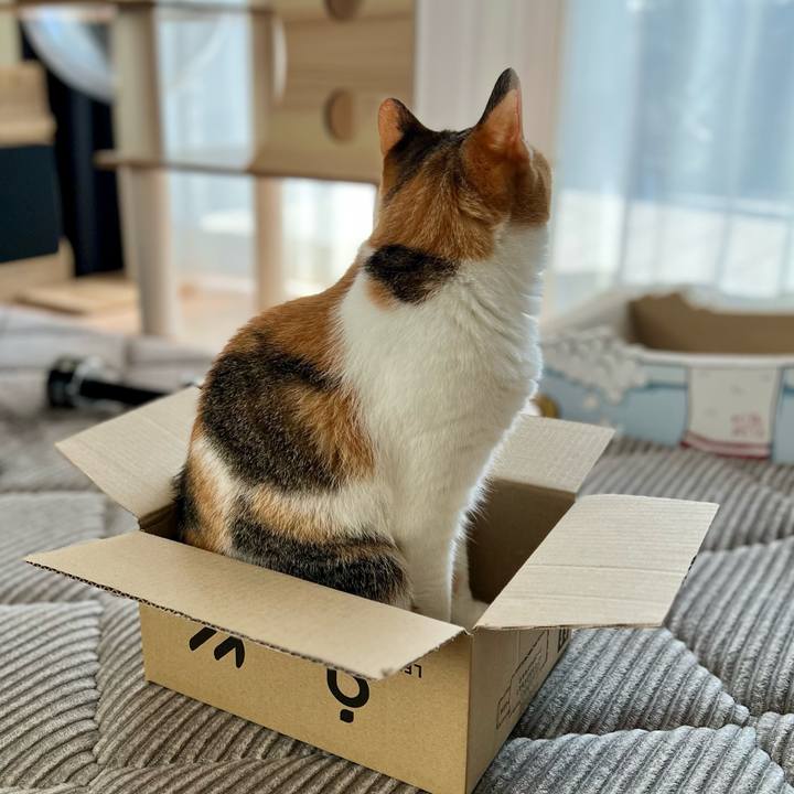 2cfa3d71 5bfe 4ad5 be80 80d4e96970fd 1758678329937