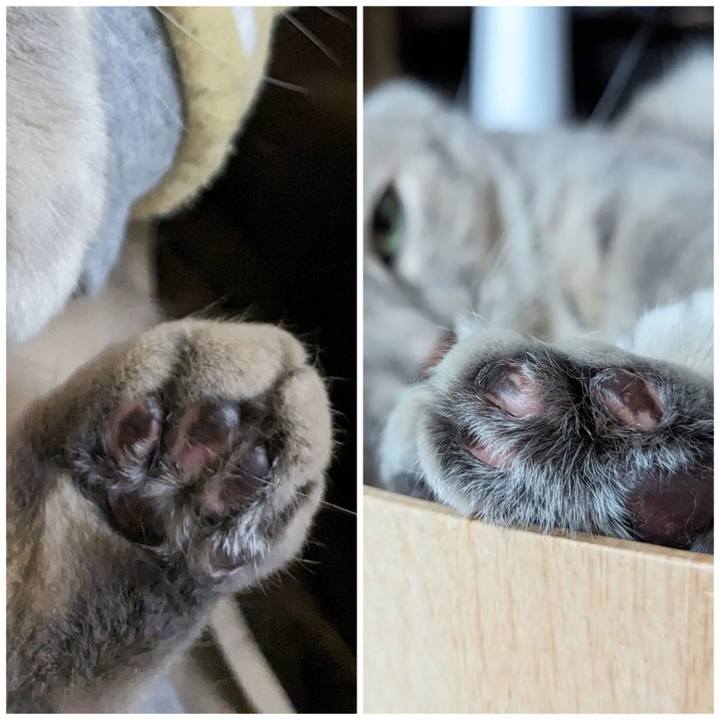 2cfa5e50 9d2c 483c 81ad 6569a53e18b4 1696602875962