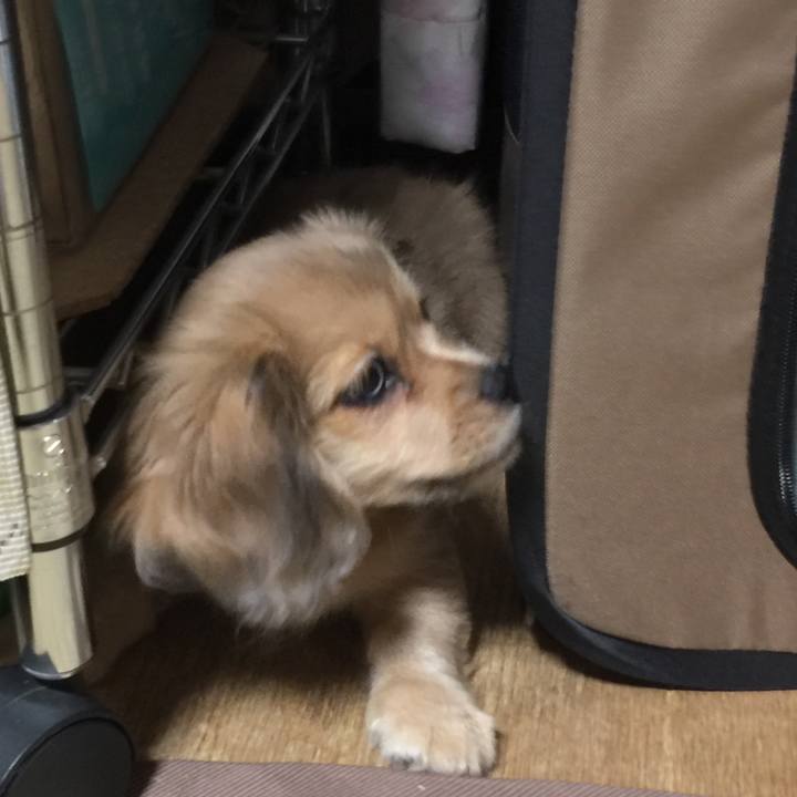 2cfa7e4b a47e 412e b9f0 47a15a80d7d8 1535927277941