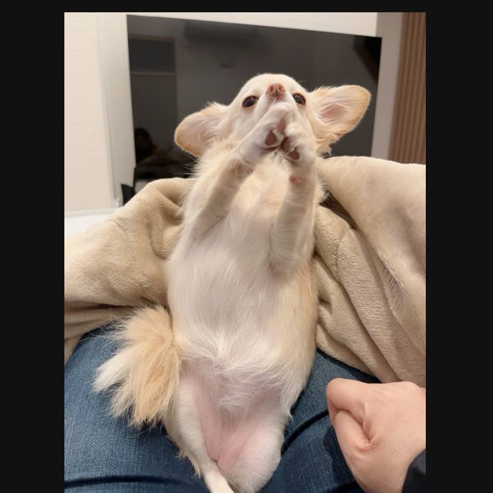 2cfaa0a4 2fb4 4fb1 851b 8ea79cfcfc8c 1729683538271