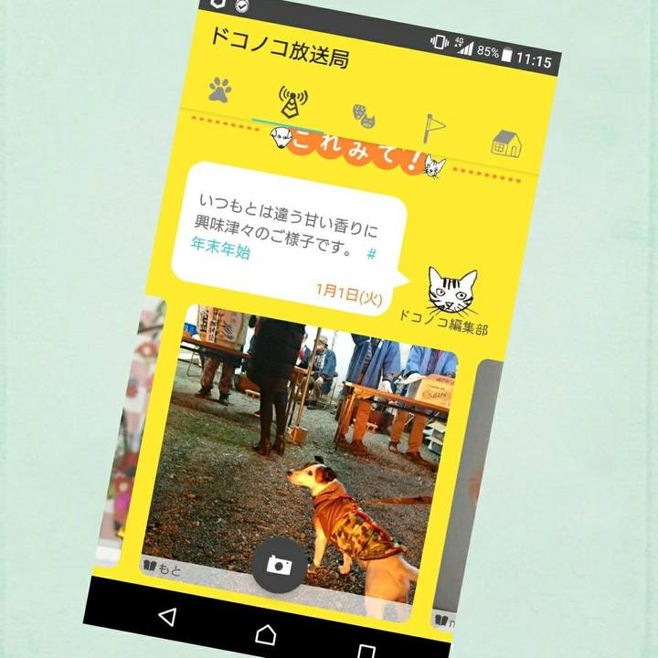 2cfaa91c 128d 47a5 a8e1 a2b1cd54a156 1546347789522