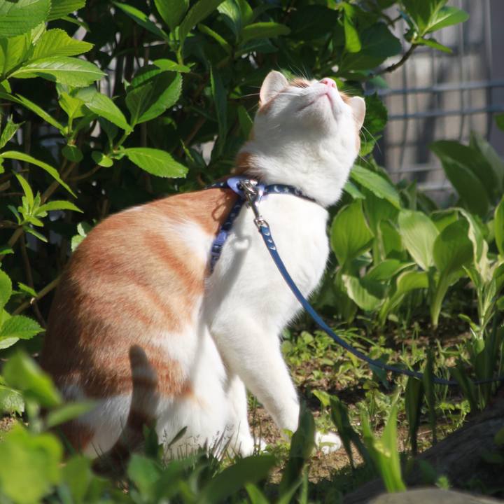 2cfacd9b 8a7d 4f80 ad84 c5095e9f058f 1524913126880