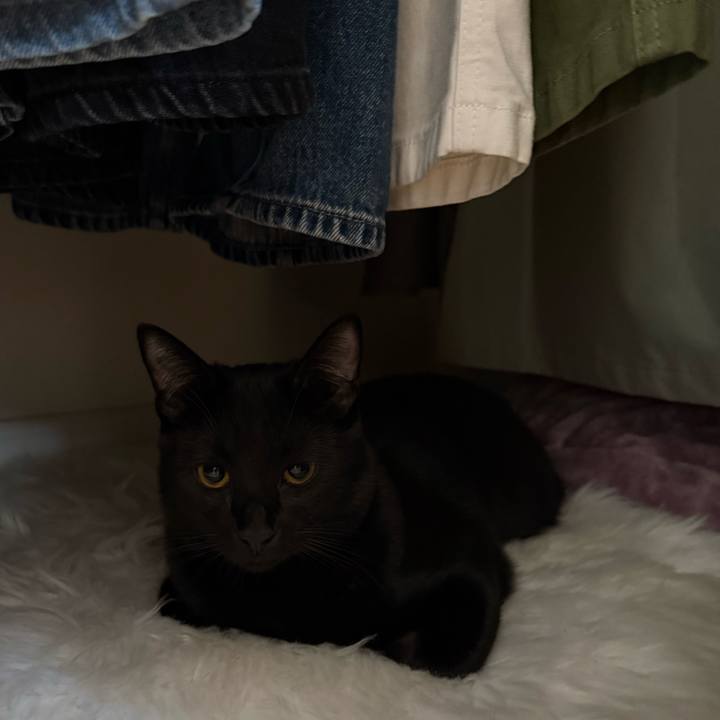 2cfad231 728d 4bfb bf59 0f28fae56993 1766984281833