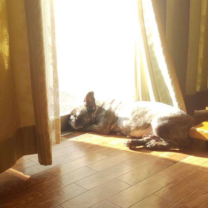 2cfad5a3 3729 4afc 90a6 aff1e22a6b66 1710136588425