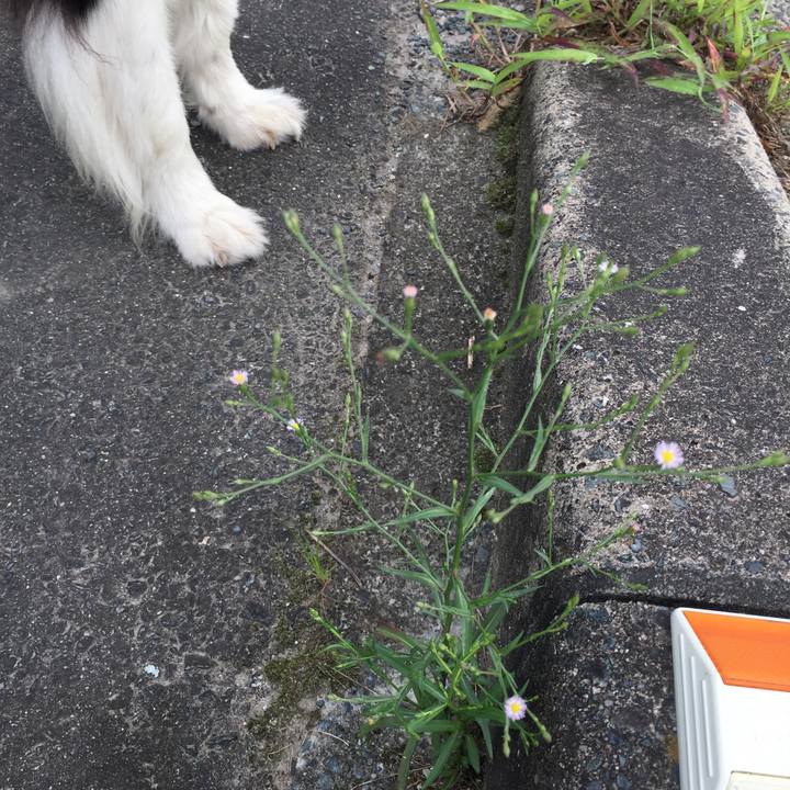 2cfaeffc 4c11 455e 8791 0da462c635d7 1567818408295