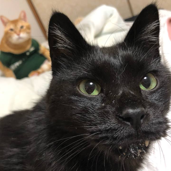 2cfb137d b6f3 4abf a546 c10d5958a870 1631878934092