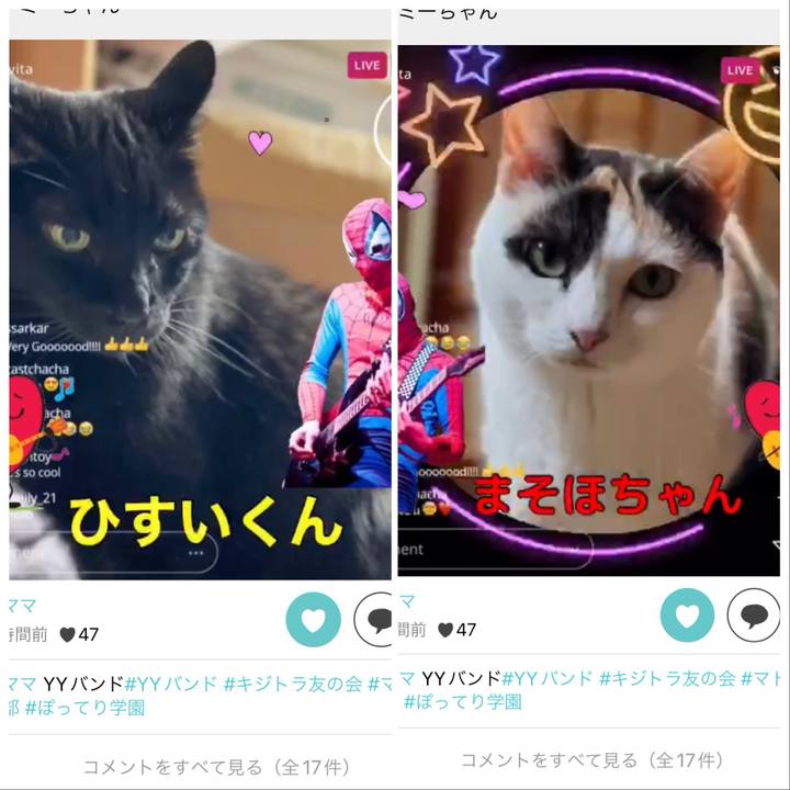 2cfb4646 b3b3 4281 b2ca f1e5040cf2d7 1657939574694