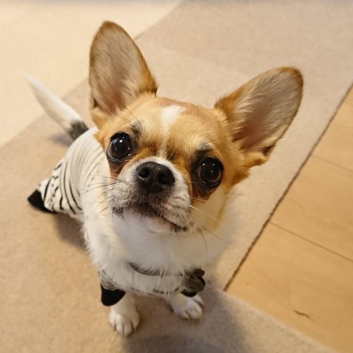 2cfbb537 1d37 4c58 871e ea7a5c44ab8c 1551912776671