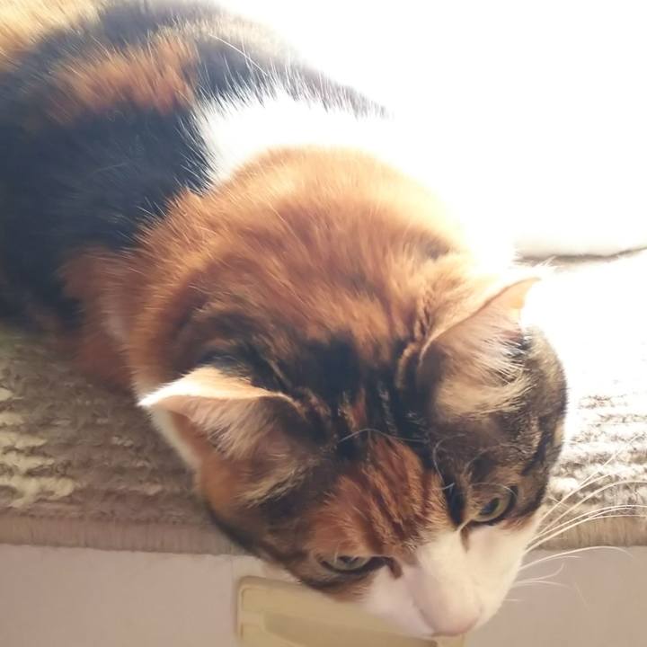 2cfbba6f 6cc2 4667 96c6 6608ec6803fa 1586392622456