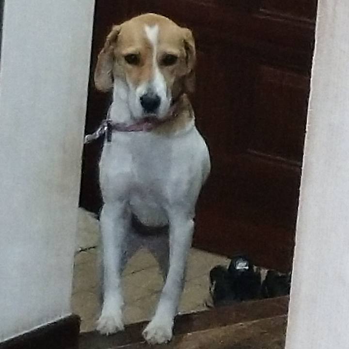 2cfbd7d3 4d45 486e b58f 4069dbc4003c 1578044945357