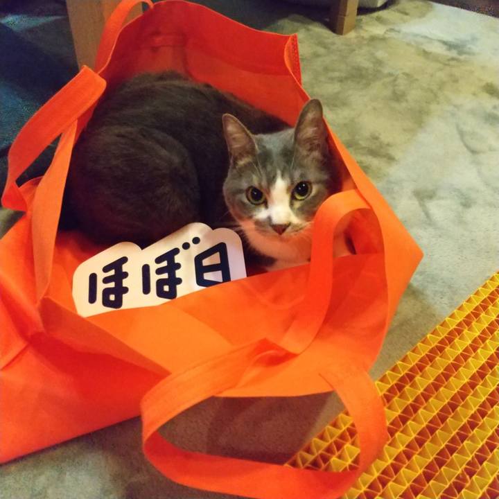 2cfbd8b8 ccef 4a48 ad40 73a03f6b573d 1651494375135