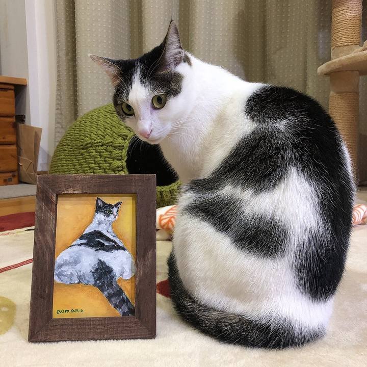 2cfc0af3 ada7 411a 8185 d564d764425b 1669383789496