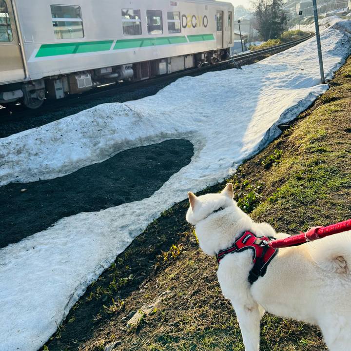 2cfc1a61 e99c 42f9 9cb5 ecf041942bae 1713044758905