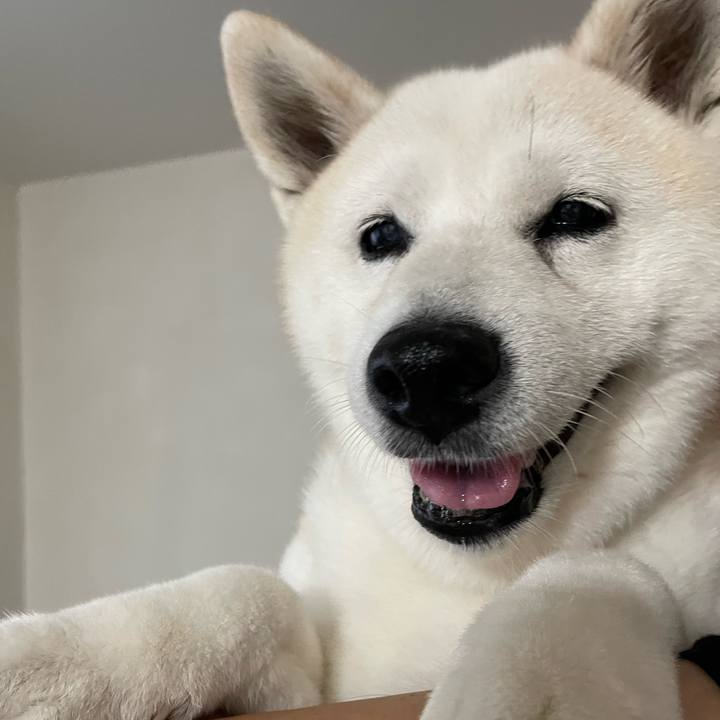 2cfc24ea 1728 4856 8d2a ae8a61d1f7ce 1692005377108