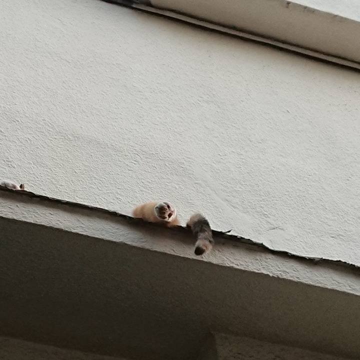 2cfc2750 fa98 46ff 90e8 26b1cc98a8b4 1692523397534