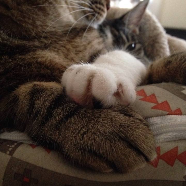 2cfc55f6 67a1 4cbe b126 1df1d09425fb 1508585442019