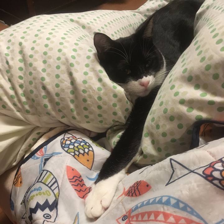 2cfc5d58 1435 4b89 b3f6 f8827b56a938 1554757468701