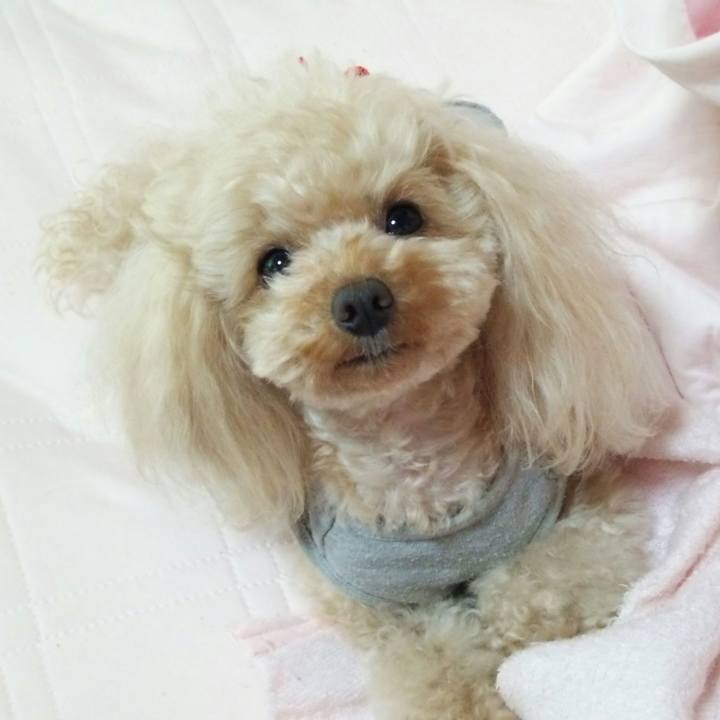 2cfc913c 152b 4fa7 b68d 8d700d6ba19d 1527253173301