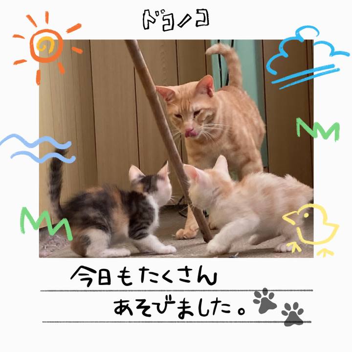 2cfca4fd d5ff 4780 a893 6df73e80cacf 1755166933564