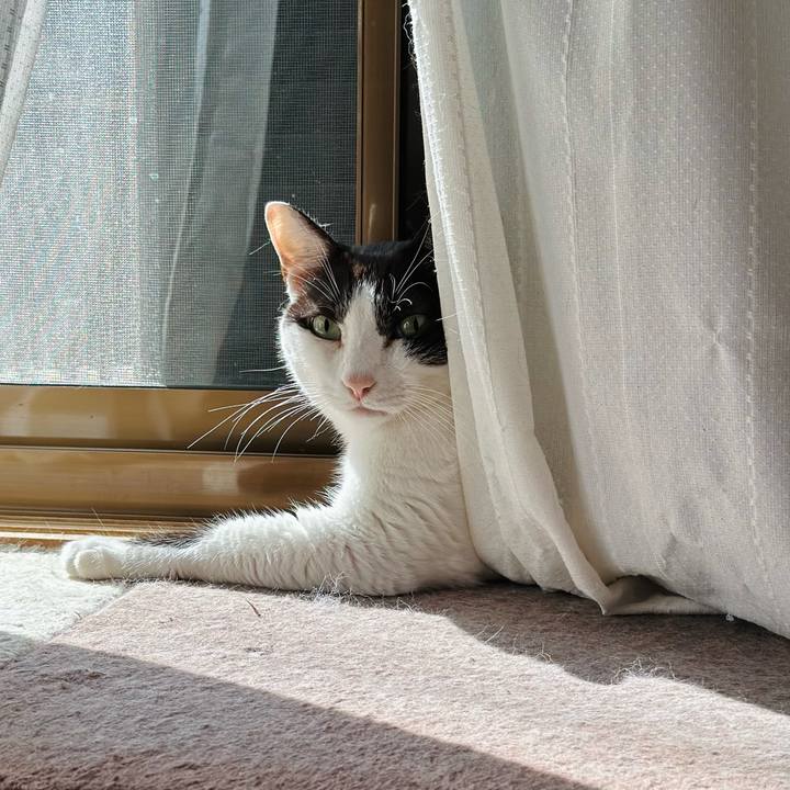 2cfcd0b2 2a80 4637 8c6a 94c57a4af4cf 1695954643749