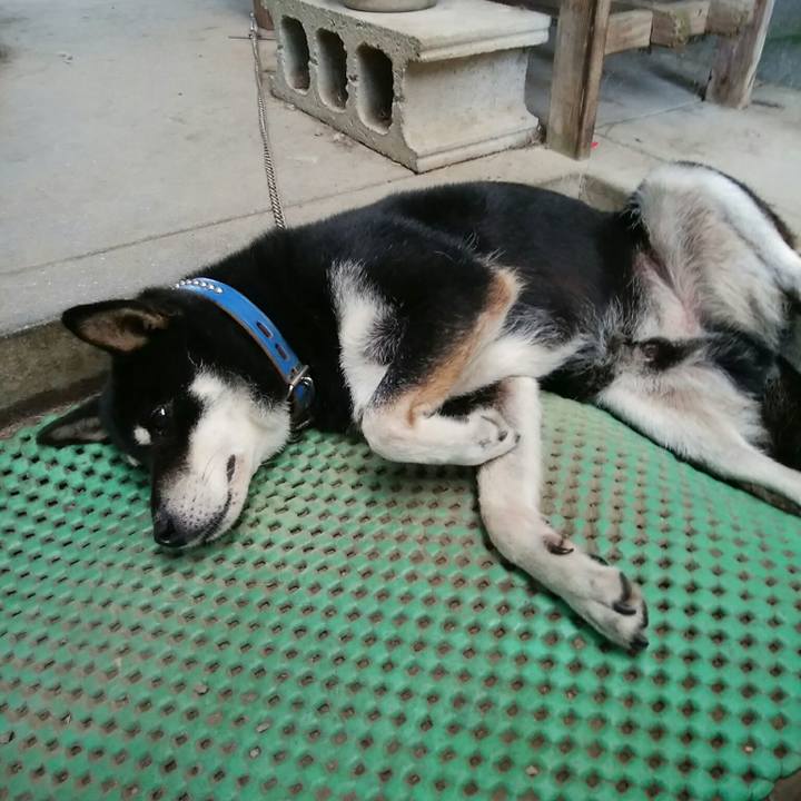 2cfd0b2e 5f4b 4f11 81b0 c55ac31acad1 1533952035169