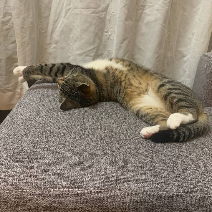 2cfd9e29 4c77 4899 a97a ca269981be65 1558957913896