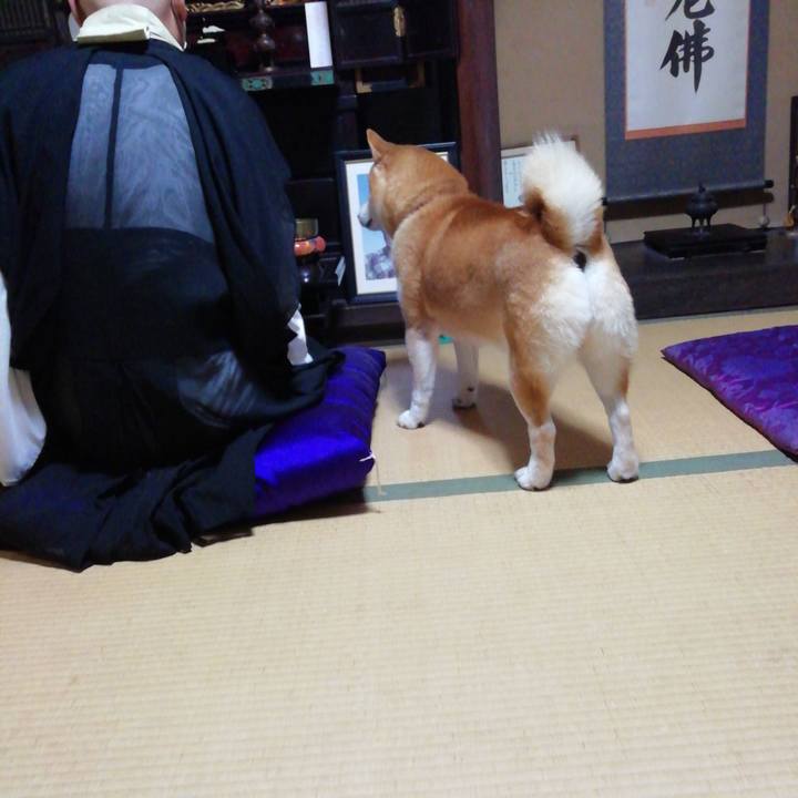 2cfda483 28a9 4786 983c 8e443a4bc8c7 1628994543007