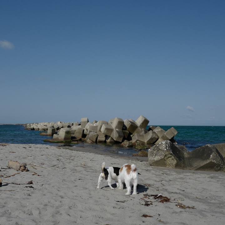 2cfdb6e0 50fd 4cd9 94f2 8b5fd8e03745 1556769352414