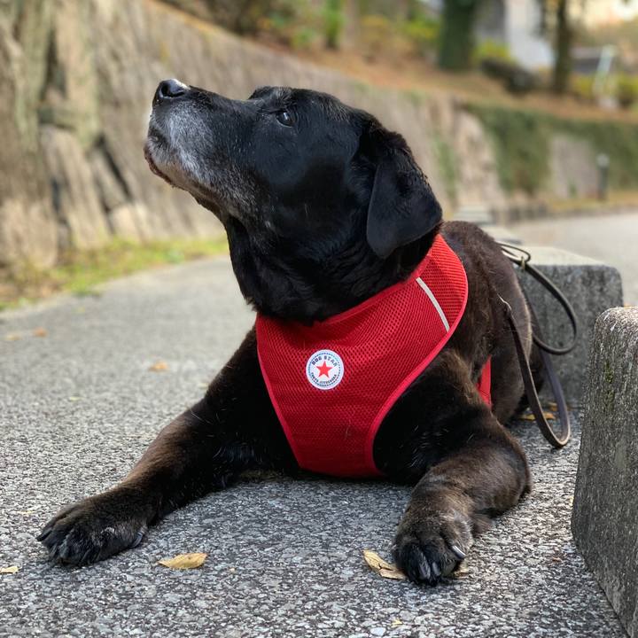 2cfdda90 dc31 4191 bc6f 3a61e52186a2 1637363907435