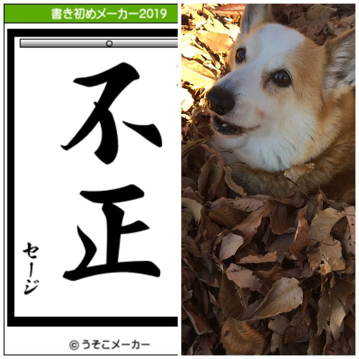 2cfe0713 b214 4642 a567 1e39e80af4fd 1546528716607