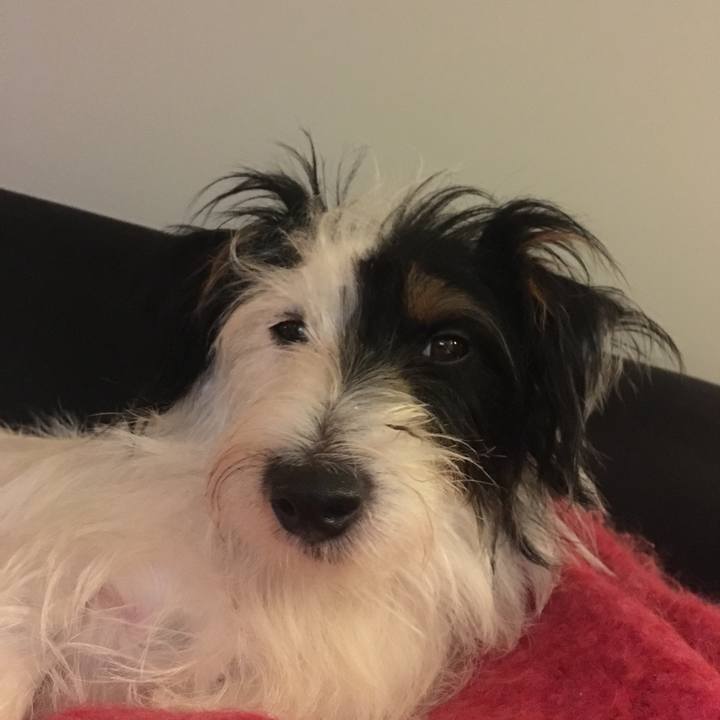 2cfe318b 1b32 4f1a a4cc 62c8e62e31f4 1517955006156