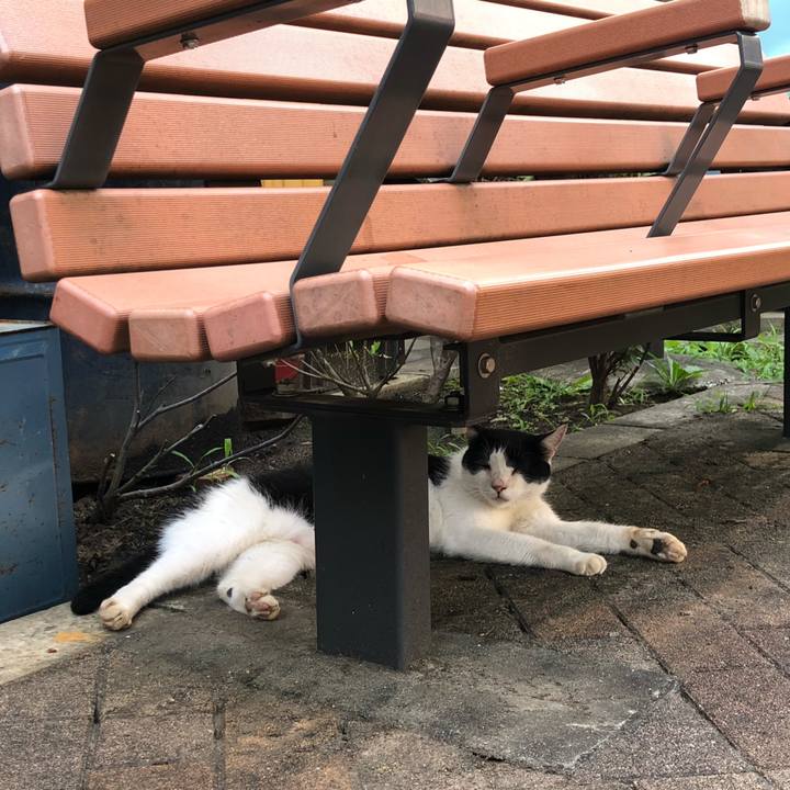 2cfe6153 8925 471d 9dd5 eb0601487039 1595256186469