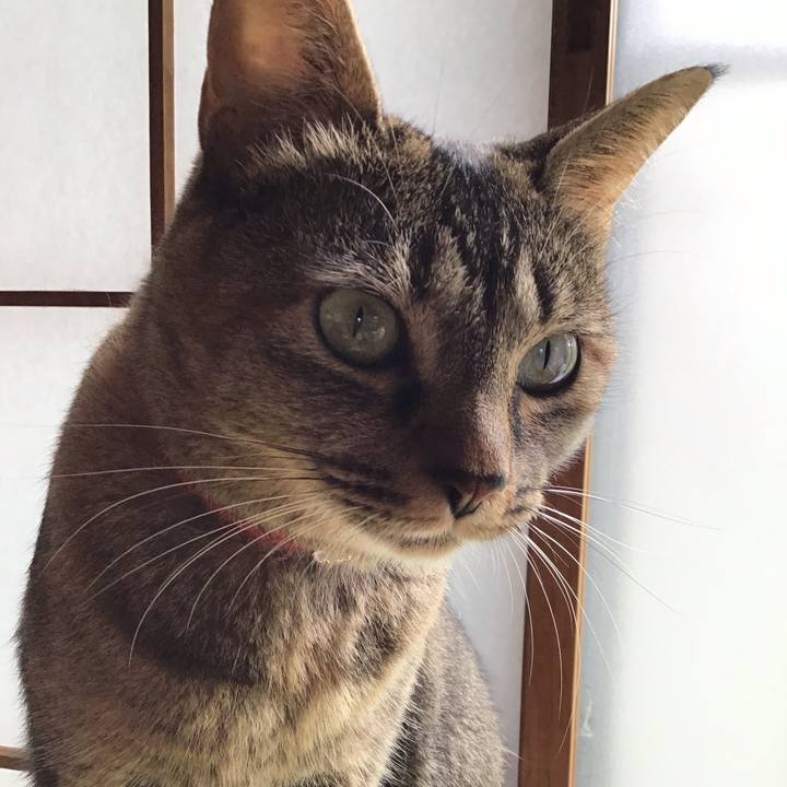 2cfe99db 3f02 4625 b02b 578597f1ced6 1629079346023