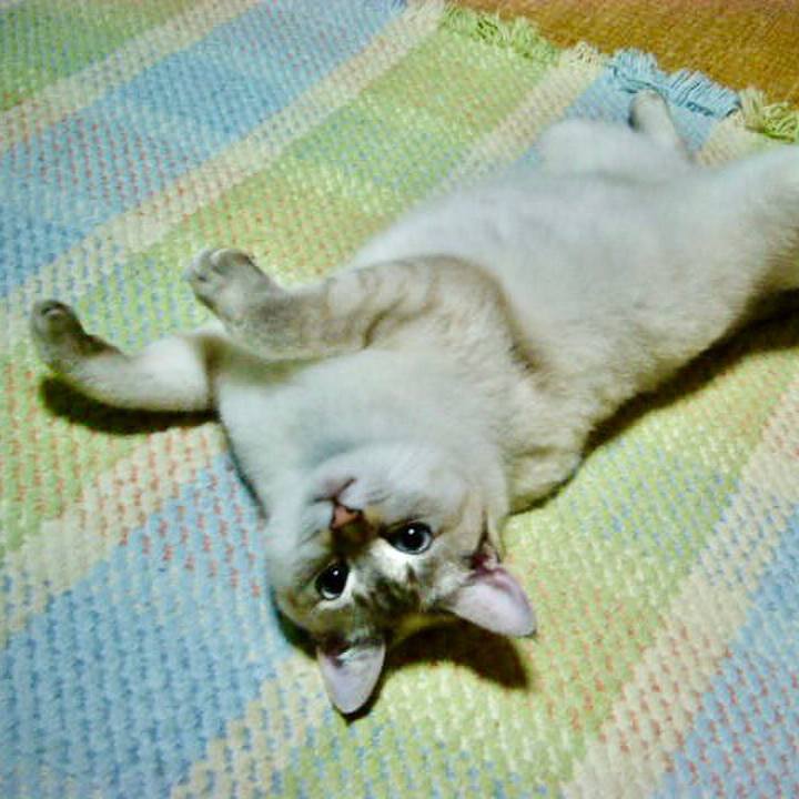 2cfef080 2126 4678 a02d 9b1c01121124 1628926209605