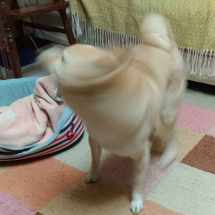 2cfeff90 5f4a 4372 a7ff 22758ca1f04d 1576829952635