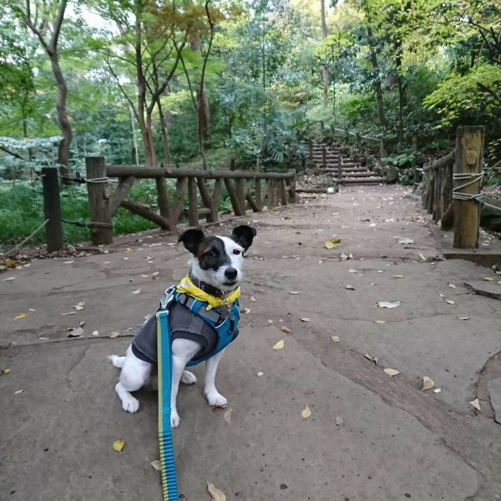 2cff2a47 03cd 49e6 be88 6ffa55084be4 1510981947248