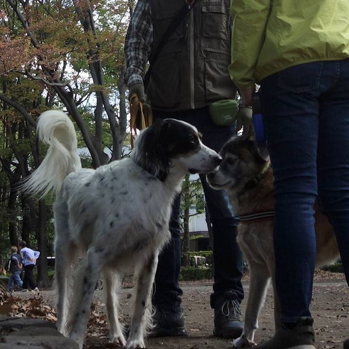 2cff31a0 c0a1 405a 9c96 c44ed5677c72 1540690812618