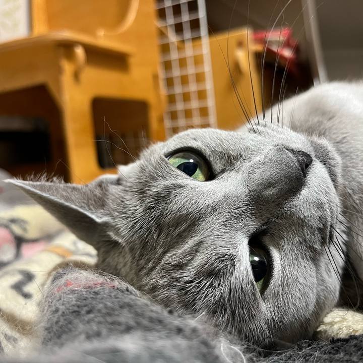 2cff410f 47f4 4772 8b2f 3143af6fcc73 1706023193498