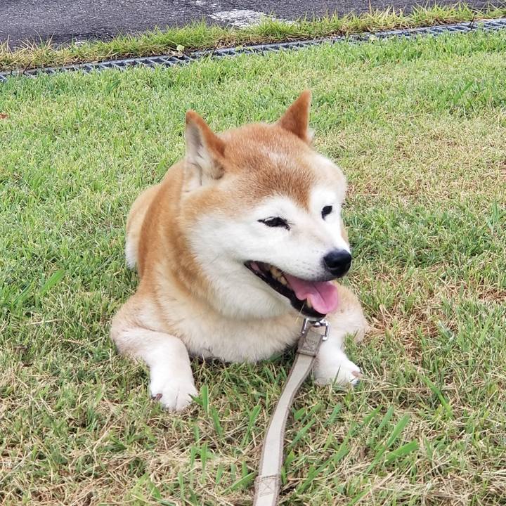 2cff4a2a 60e1 425d a1cb fb4eeb8dc188 1692860462787