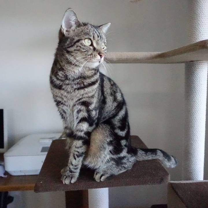 2cff59a1 e737 4ce3 98ea 87e8f581a769 1529240848659