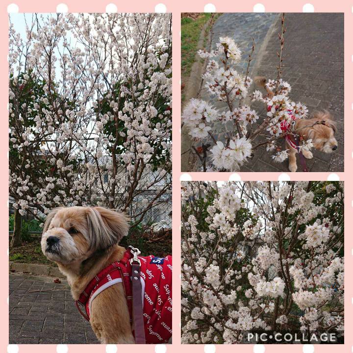 2cff735c a2d2 41d7 bc4b 545e597f3952 1614039721810