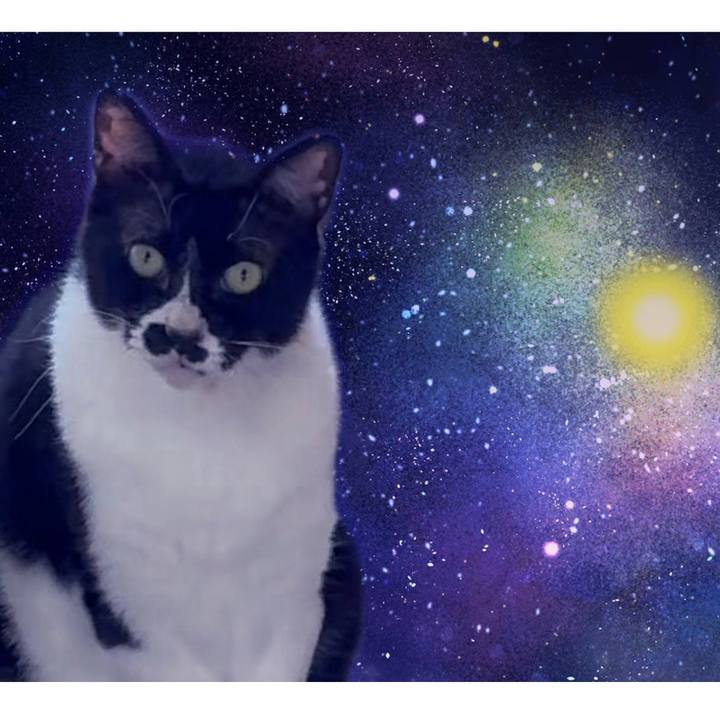 2cff795c d19c 4e87 bbfc ea97cf4f330c 1748510872029