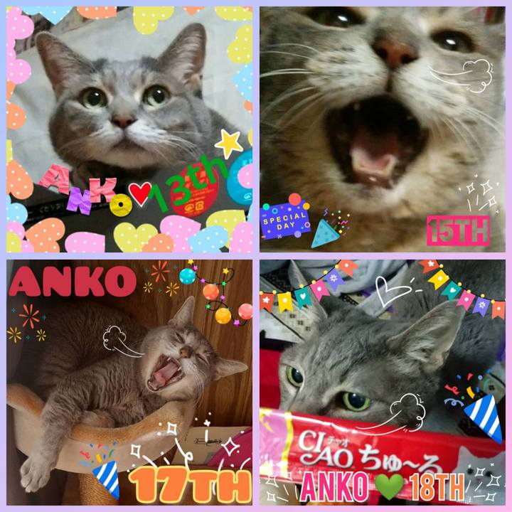 2cff8f78 af9c 41fe b33c 58c5d446a904 1760088611331