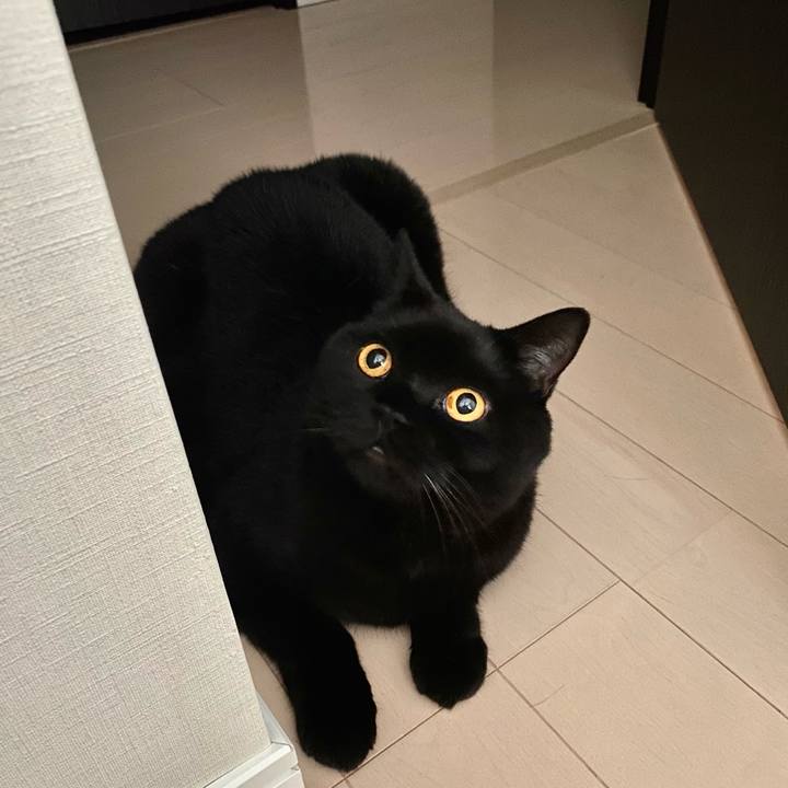 2cffe693 5a19 42a6 ad4a 1a620f9c4df0 1697894327321