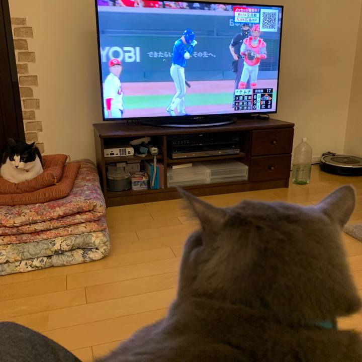 2cfffa2d e4c9 492f 8a86 1a6f5862309e 1654171153276