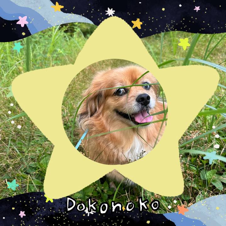 2d001aca 5159 4f6d 8404 e98e21d65a9c 1721250010899